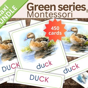 Gioco Montessori Fonologia Inglese Serie Verde, Carte a Tre Parti, Imparare a Leggere, Suoni Complessi PDF da Stampare, Attività Educativa
