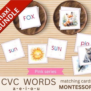 Carte di lettura stampabili Serie Rosa Montessori. Attività di lettura di parole corte, dettato silenzioso, risorsa educativa PDF.