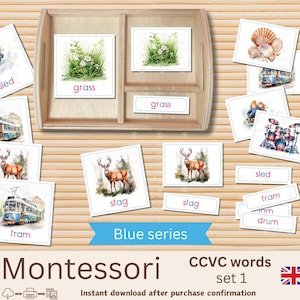 Montessori parole CCVC inglese – Serie blu – Carte di lettura stampabili – Materiale educativo fonetico – Lettura per principianti