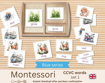 Montessori CCVC words English – Blue series – Printable reading cards – Phonetic learning material – Beginner reading