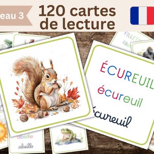 Primeira leitura Montessori em francês, 120 cartas, leitura silábica com sons complexos, PDF educativo imprimível, pré-escola, escola