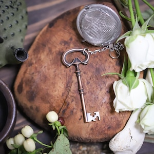 銅製スケルトンキーティーボール、ティーディフューザー、ルーズリーフティーの再利用可能なティーボール、魔女のティーボール、神秘的なハーブ薬局