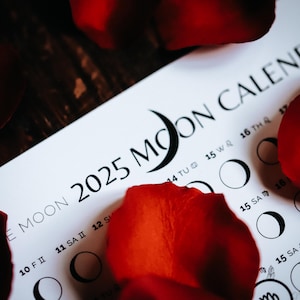 May include: A white calendar with the text "MOON 2025 MOON CALENDAR" printed on it. The calendar has a grid of dates and moon phases. Red rose petals are scattered on the calendar.