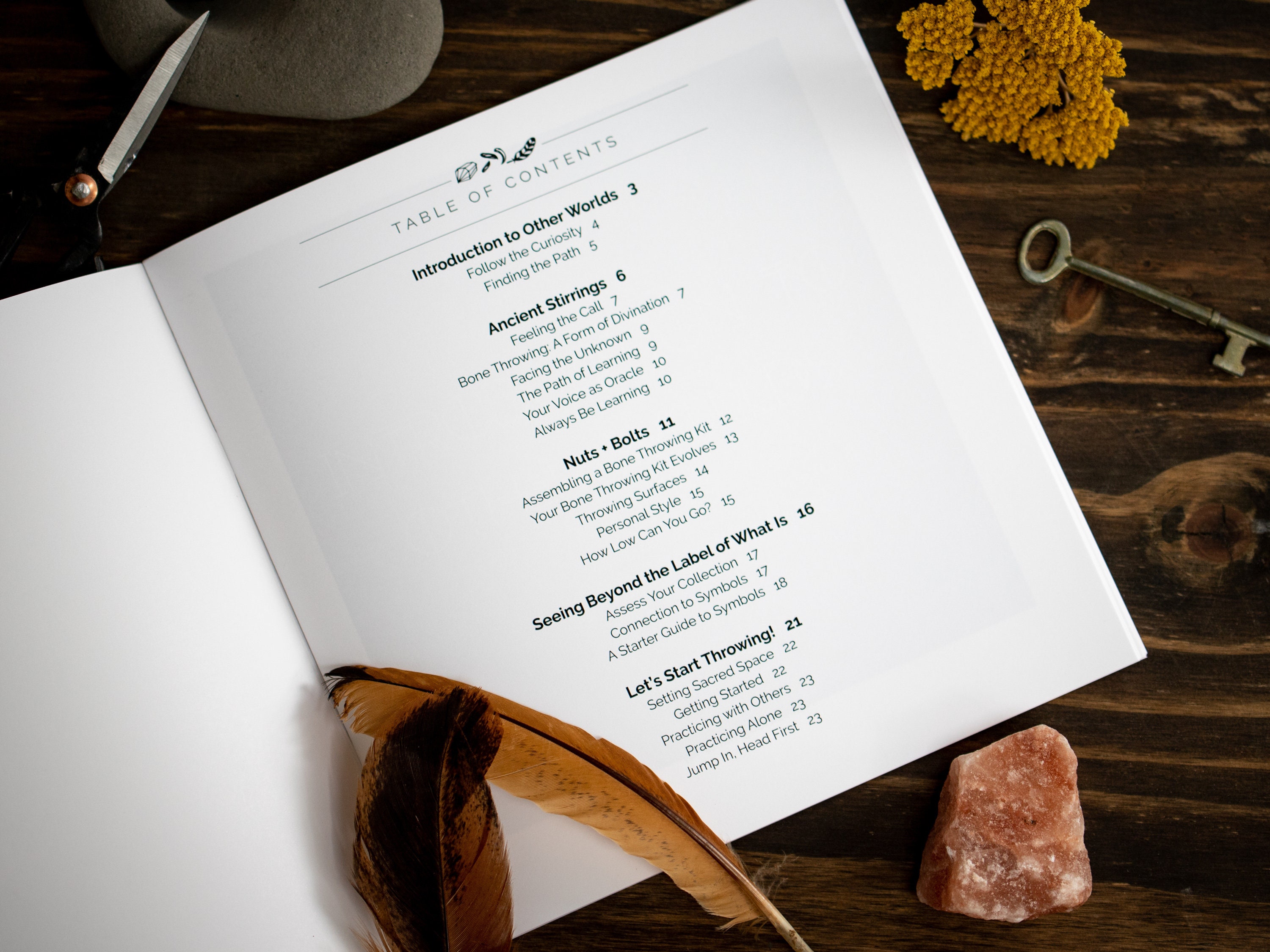 Learn Bone Throwing A Beginner's Guide to Bone Throwing Etsy 日本