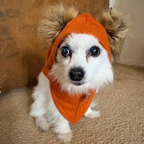 Ewok hood for baby, cat, or small dog