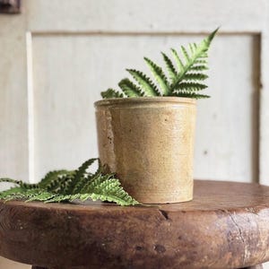 May include: A cylindrical, tan-colored ceramic pot with a slightly textured surface. The pot is filled with green fern leaves and sits on a rustic, round wooden stool. The stool has three legs and a dark brown finish, creating a vintage aesthetic.