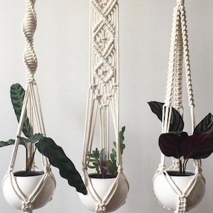 Op de afbeelding: Drie macramé plantenhangers met houten ringen, elk met een ander knooppatroon. De hangers houden witte keramische potten met planten.