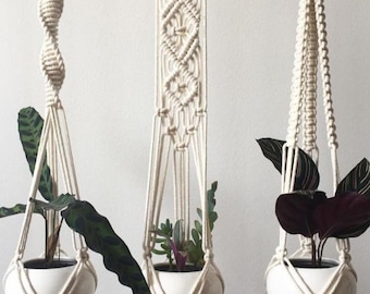 May include: Three macrame plant hangers with wooden rings, each with a different knot pattern. The hangers are holding white ceramic pots with plants.