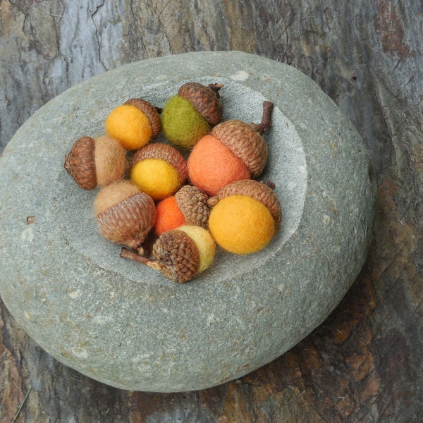 18 felted acorns /Autumn Colors / mixed sizes