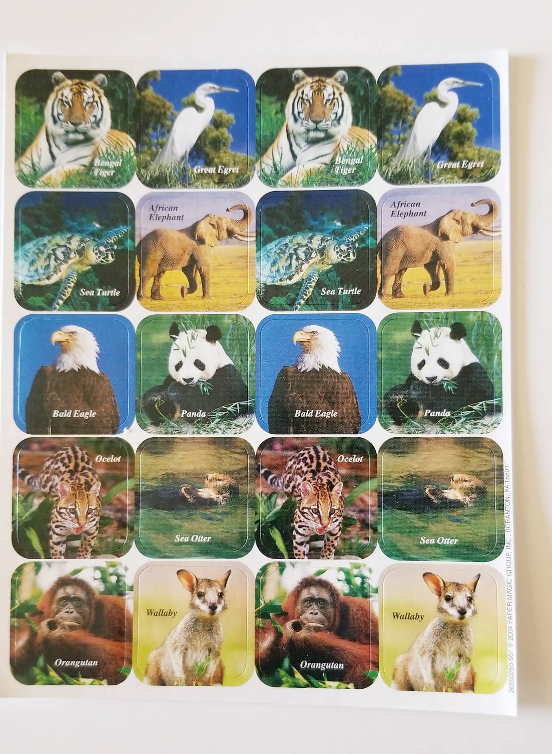 Buy Eureka Wild Animal Photo Stickers Paper Magic Tiger Egret Sea Online in India - Etsy Buy Eureka Wild Animal Photo Stickers Paper Magic Tiger Egret Sea Online in India - Etsy