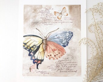 Impressão artística em aquarela de borboleta fantástica: Ilustração de guia de campo (8x10)