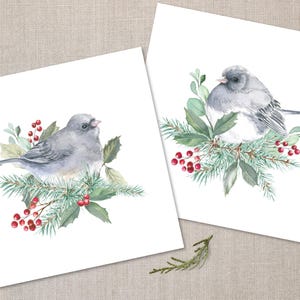 May include: Two watercolor illustrations of a gray bird perched on a branch with green leaves and red berries. The bird is sitting on a branch with green leaves and red berries.