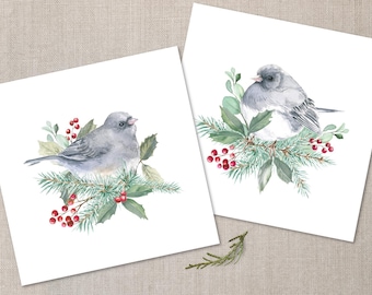 May include: Two watercolor illustrations of a gray bird perched on a branch with green leaves and red berries. The bird is sitting on a branch with green leaves and red berries.