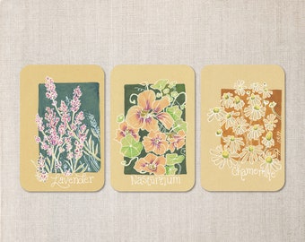 Three-piece Art Postcard Set with Culinary Flower Drawings | Chamomile, Lavender and Nasturtium