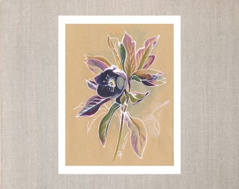 Hellebore Mixed Media Floral Art Print in Navy Blue and Deep Jewel Tones on Brown Paper Background | 8" x 10" Unframed Botanical Wall Art