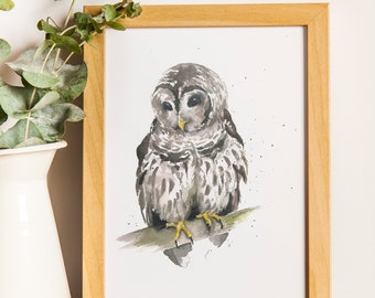 Puede incluir: Una pintura de acuarela enmarcada de un búho gris posado en una rama. El búho tiene ojos amarillos y un pecho blanco. La pintura está sobre un fondo blanco.