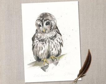 Watercolor Barred Owl Print, Neutral Cottagecore Decor (5x7)