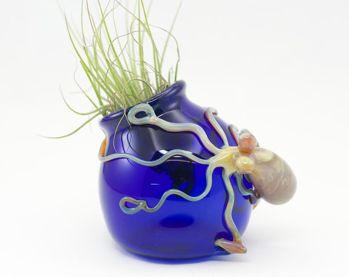 Featured listing image: Octopus Glass Globe Terrarium in Cobalt Blue & Triple Passion, #975