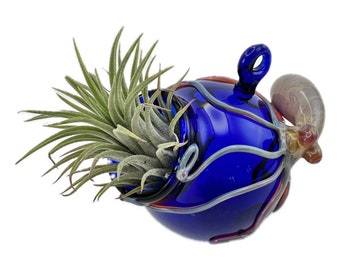 Octopus Glass Terrarium. Hand Blown Cobalt Blue Hanging Globe with Flamework Triple Passion Octopi. Great for Air Plants. Made to Order