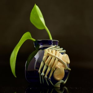 Terrarium Facehugger : Globe en verre soufflé à la main - Plante aérienne ou succulente