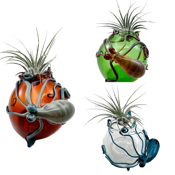 吊り下げ式プランターラック 5個のガラス容器付き☆多肉植物☆エアー