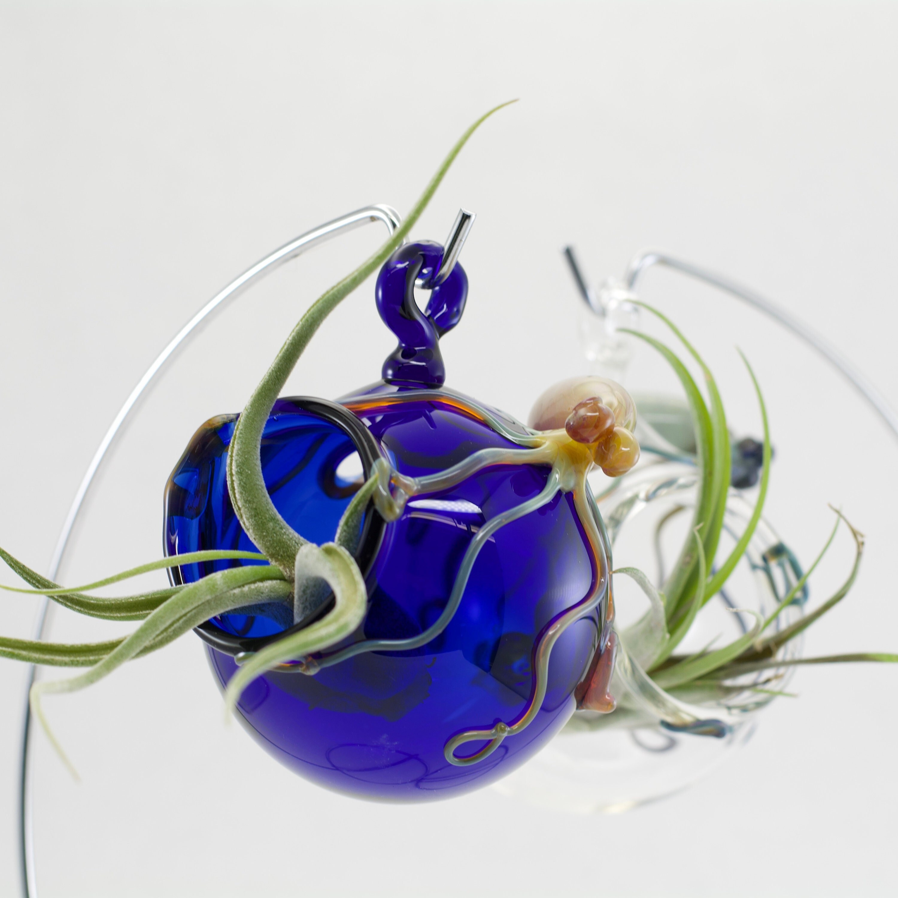 Octopus Glass Globe Hanging Terrarium in Your Choice of Color