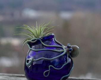 Octopus Terrarium - You Choose the Color