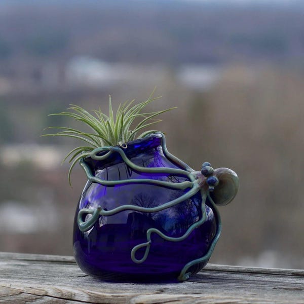 Octopus glazen terrarium: handgeblazen bolvormige plantenbak voor luchtplanten