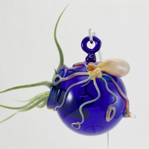 Terrario de cristal con forma de pulpo, globo soplado a mano (elige tu color)