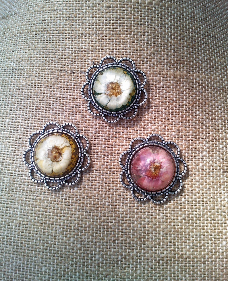 Choice of 3 colors Pressed dried Rose flower cabochon neckline concealer broach pin lapel pin Ln1778 by Lynn pocket pin resin cabochon