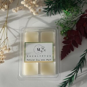 Cera di soia biologica all&#39;eucalipto con vero olio di eucalipto