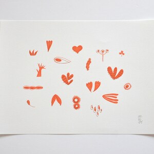 Serigrafia Sementes de Amor