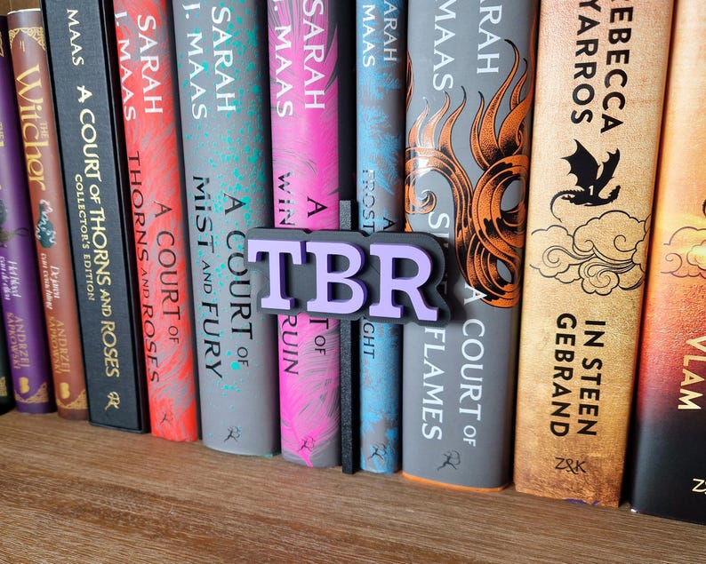 TBR Bookshelf Peek Out Sign - Bookshelf Decoration - Library Book Nook - Bookish Home Decor - Reader Book Lover Gifts image 5