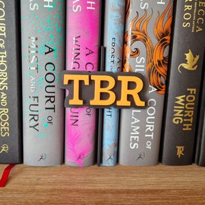 TBR Bookshelf Peek Out Sign - Bookshelf Decoration - Library Book Nook - Bookish Home Decor - Reader Book Lover Gifts image 4