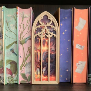 May include: A beige, arched, gothic-style book nook insert featuring a detailed scene of dragons in a volcanic landscape with flowing lava, positioned between two books with floral spines and two books with starry and envelope patterns.