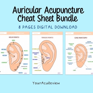 Auricular Acupuncture Study Guide: Anatomy & Points Charts (Digital Download)
