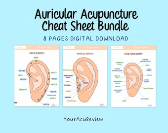 Studiegids ooracupunctuur: anatomie en puntengrafieken (digitale download)