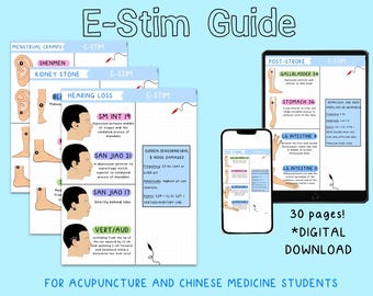 Klinische gids E-Stim acupunctuur: TCM-protocollen (digitale pdf-download)