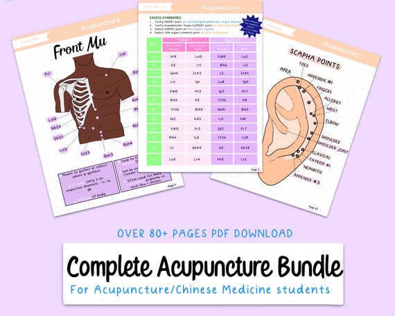 Acupuncture Study Guide Bundle for Acupuncture/Chinese Medicine Student, Digital PDF download notes, charts, guides, big picture