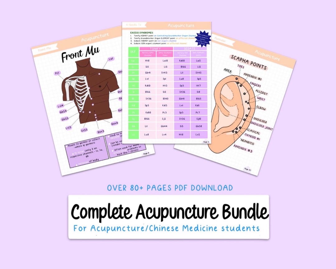 Acupuncture Study Guide Bundle: Charts, Points, Big Picture and ...
