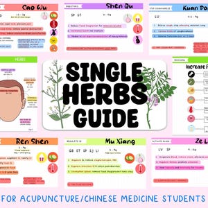 Pacchetto di guide di studio digitali per singole erbe di medicina tradizionale cinese, oltre 400 schede digitali/50 pagine di appunti digitali per studenti di agopuntura