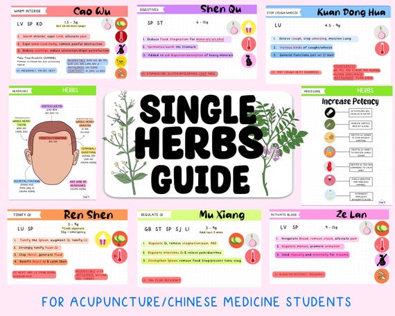 Traditional Chinese Medicine Single Herb Digital Study Guide Bundle, 400+ Digital Notecards/50 Pages Digital Notes for Acupuncture Students