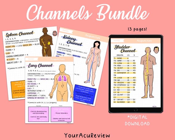 Acupuncture 12 Primary Channel Meridian Digital Study Download Charts for Acupuncture/TCM Students