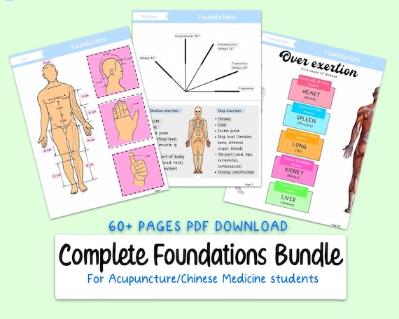 Foundations Acupuncture Study Guide Bundle for Acupuncture/Chinese Medicine Student, Digital PDF download notes, charts, guides