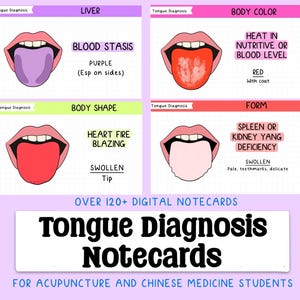 Cartes de correspondance numériques pour le diagnostic de la langue Étudiant en acupuncture/médecine chinoise, cartes de correspondance numériques à téléchargement PDF