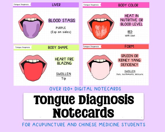 Tongue Diagnosis Digital Notecards Acupuncture/Chinese Medicine Student, Digital PDF Download Notecards