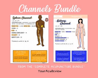 Acupunctuur 12 Primary Channel Meridian Digital Study Download grafieken voor acupunctuur/TCM-studenten