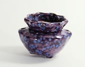 Miniature African Violet Pot Grape Splash made to order 2 weeks