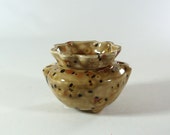 Miniature African Violet Pot Safari made to order 2 weeks