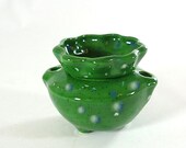 Miniature African Violet Pot Spotted Kiwi made to order 2 weeks